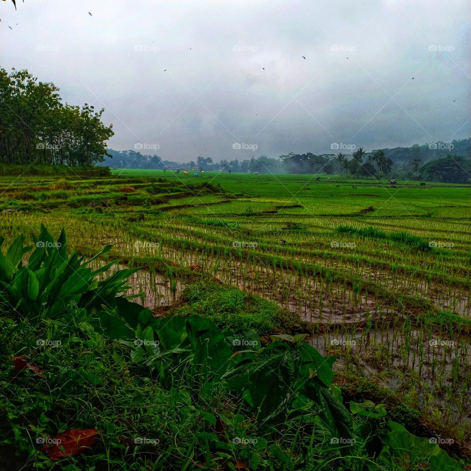 Nice view of the peswahan and surroundings