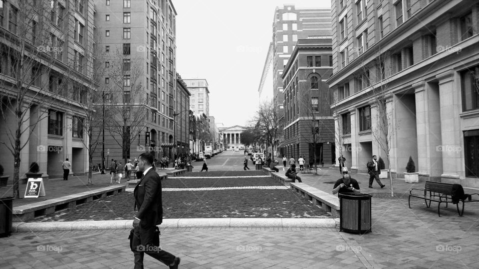 The Busy City of Washington DC