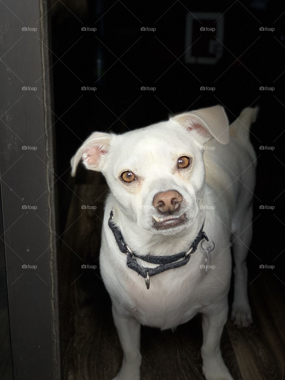 Portrait with spotlight 