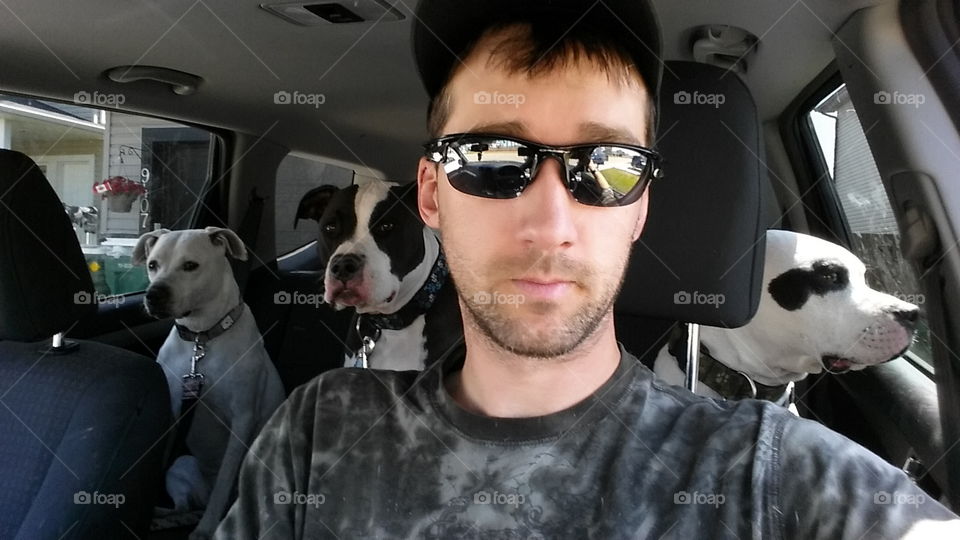 3 well behaved pups. riding with my crew