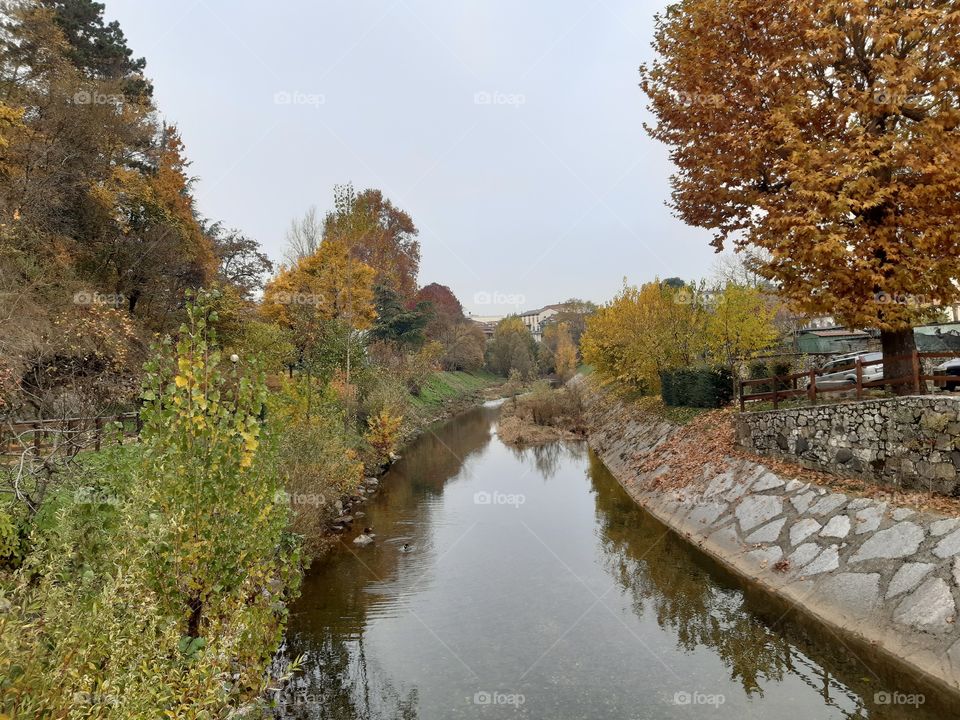 a creek in autumn