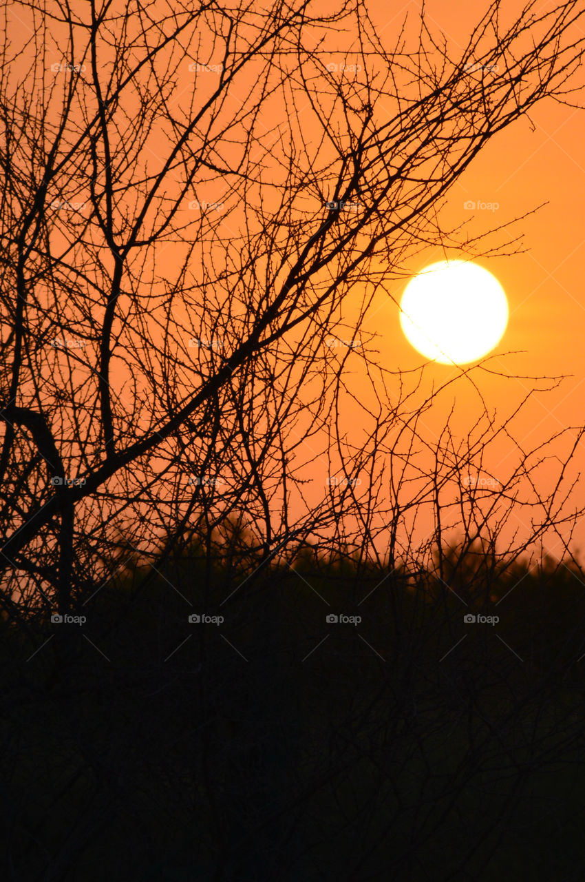 sunset makes hundreds of shades