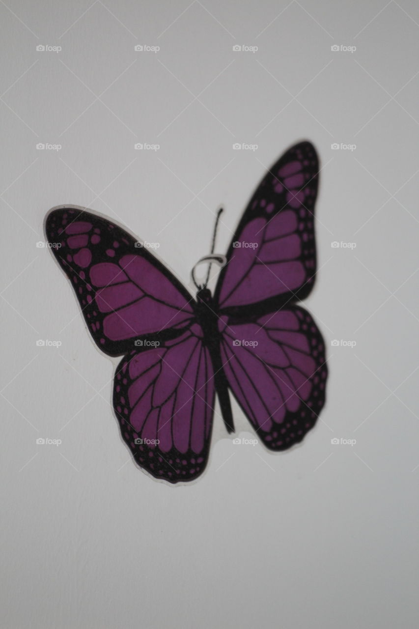 artifical butterfly