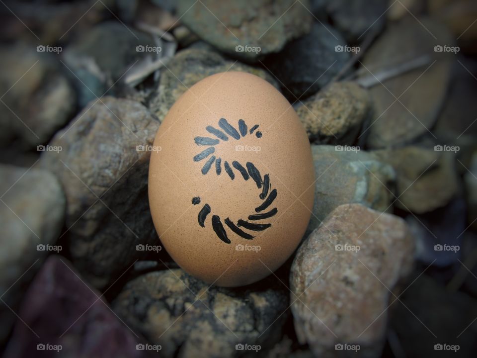 SAFER egg