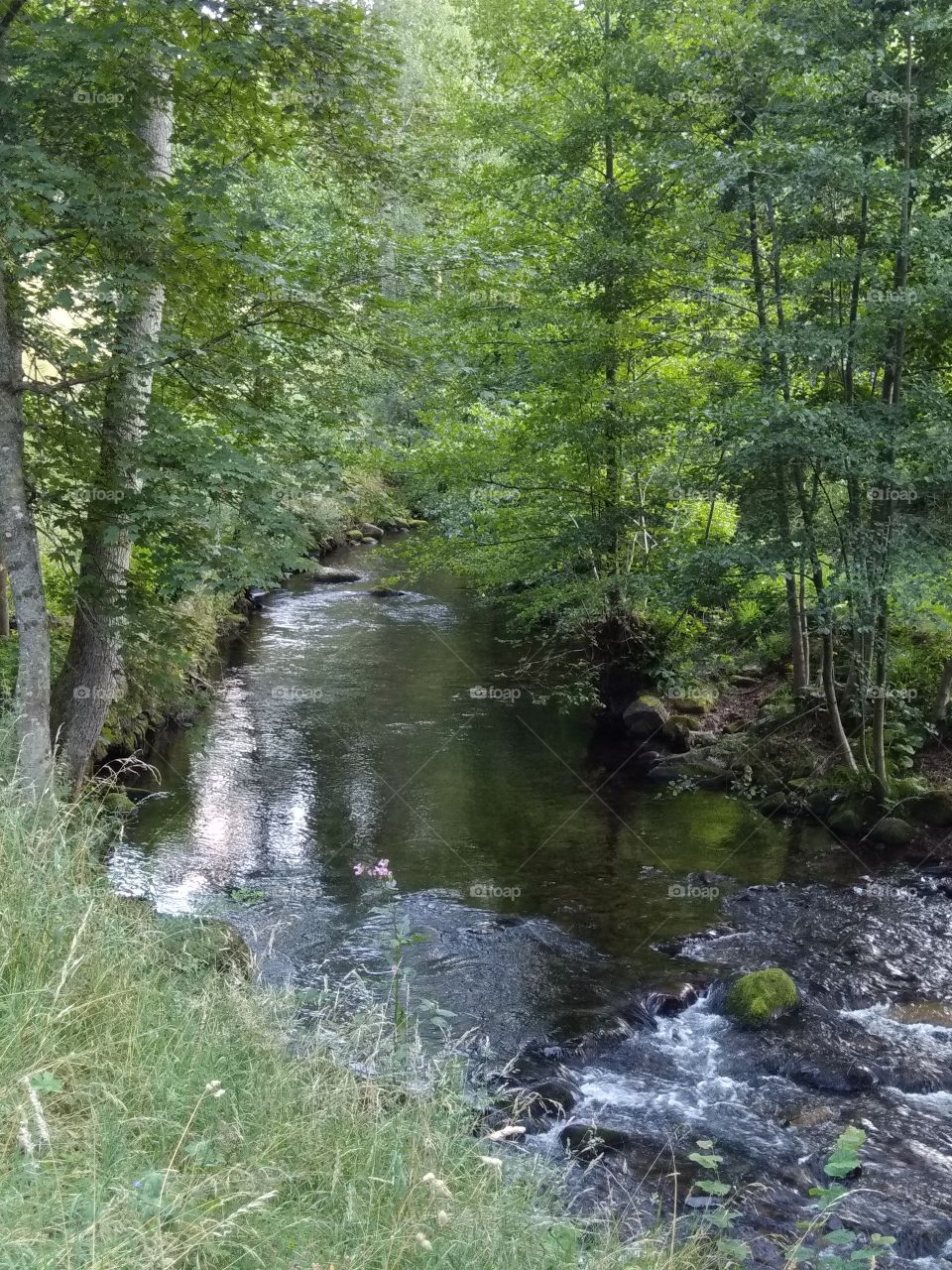 Kurpark in Bad Wildbad
