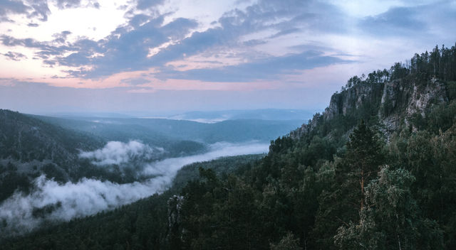 Foggy morning