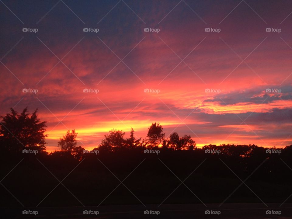 South Carolina Sunset