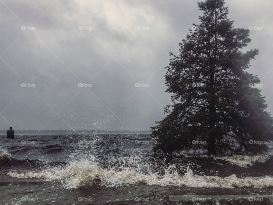 Taken as the storm reached our quiet town, quickly flooding the park but making for some amazing photographs. 