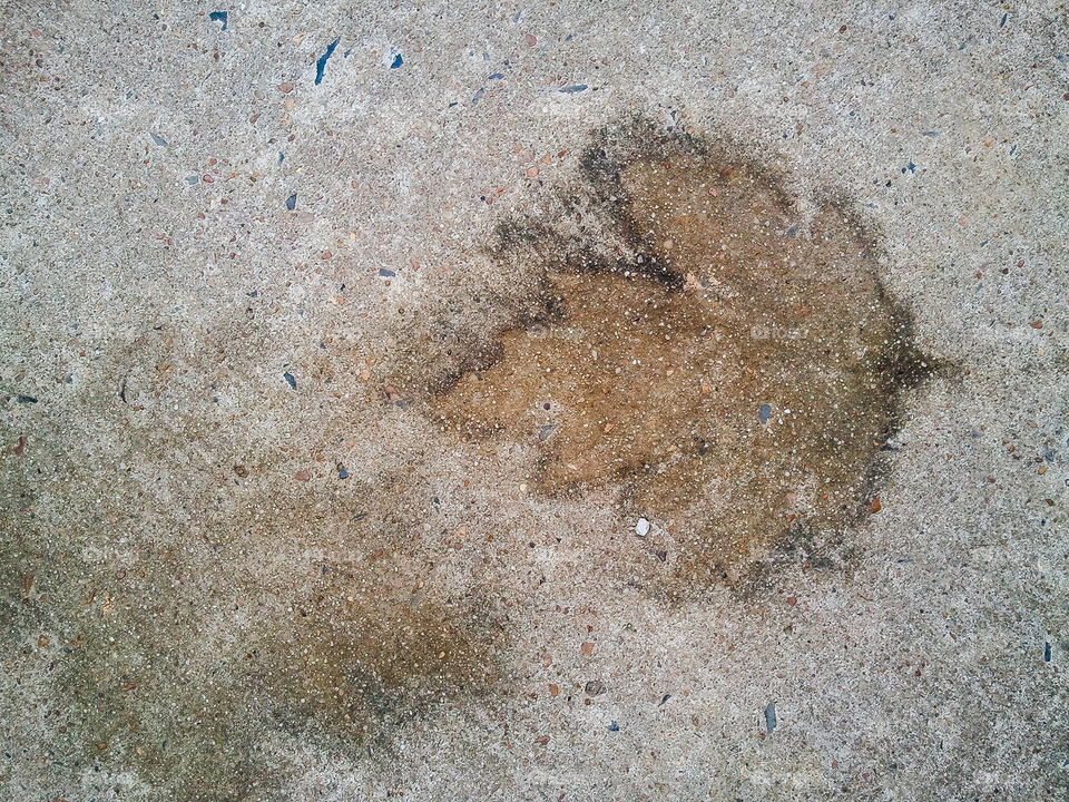 Leaf stain. the imprint of a leaf in a back alley.