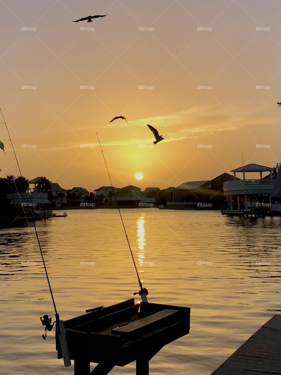 Summertime for us is fishing off the dock at sunset and watching the seagulls fly my! ☀️