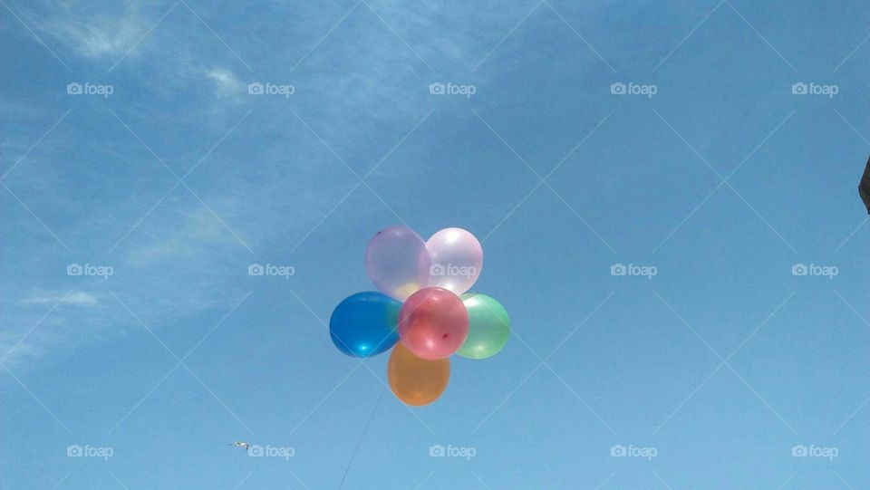 Beautiful multicolor ballons embraced blue sky.