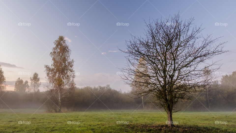 Leszno, Poland