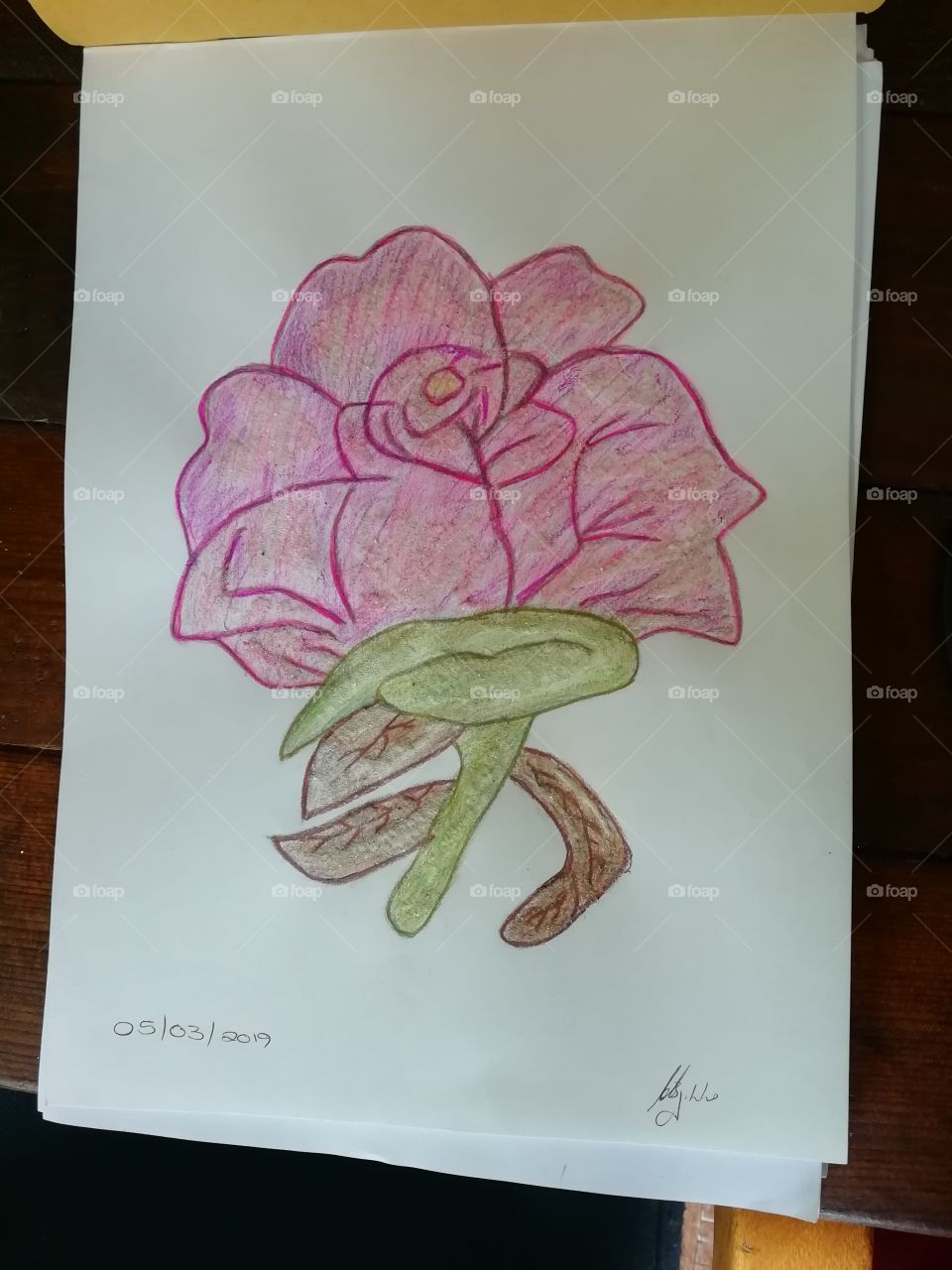 Rose artwork