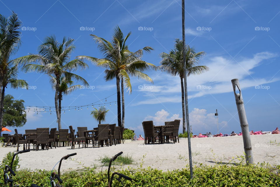 landscape at the beach
