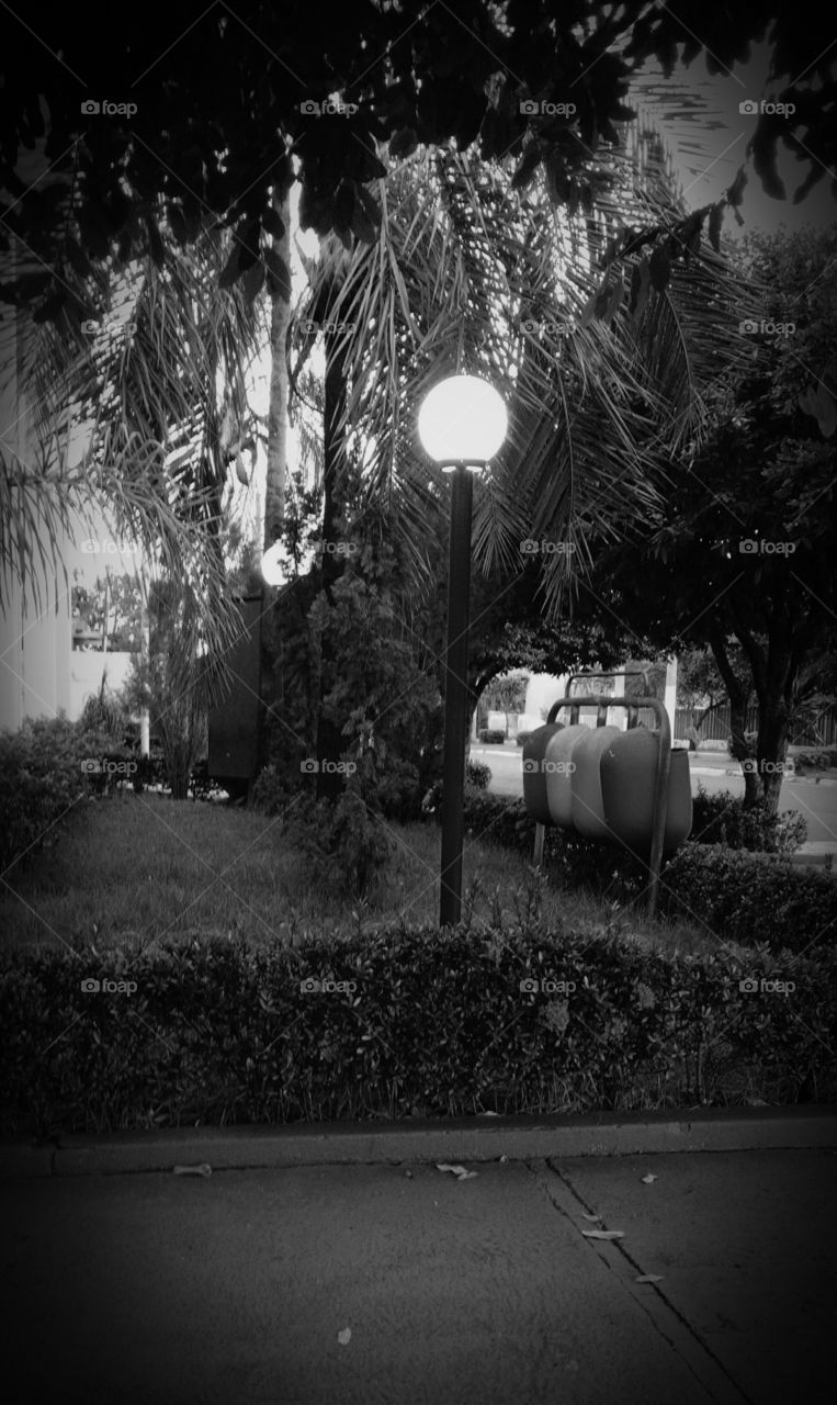 Papel de parede. Luminária acesa em jardim.