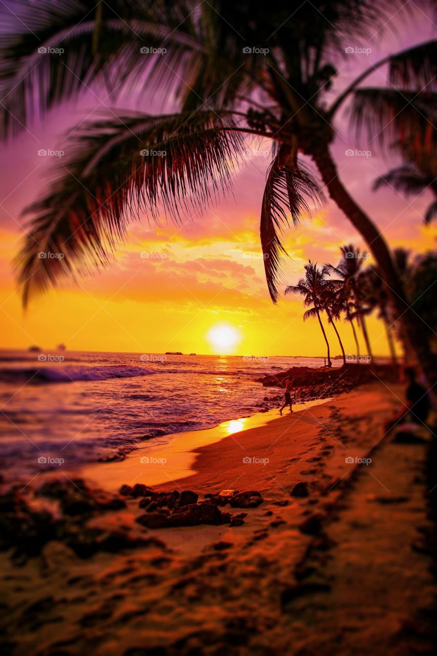 Maui Hawaii colorful beach sunset  with palm trees and ocean