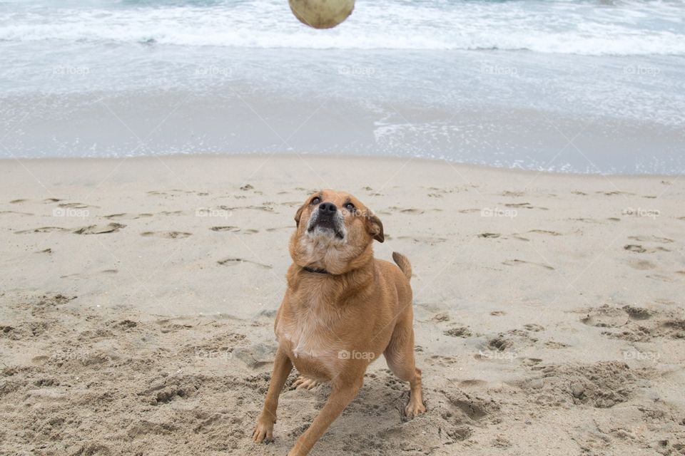 Beach fun 