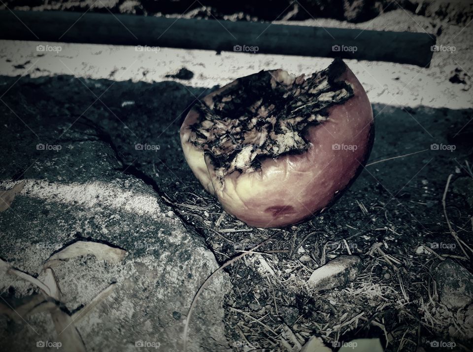 one apple a day,keeps the doctor away