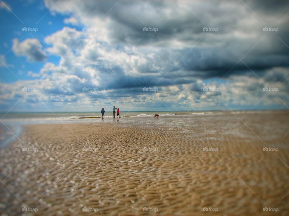Family Beach Dog Walking. A family of three take a long walk on a big sandy beach.