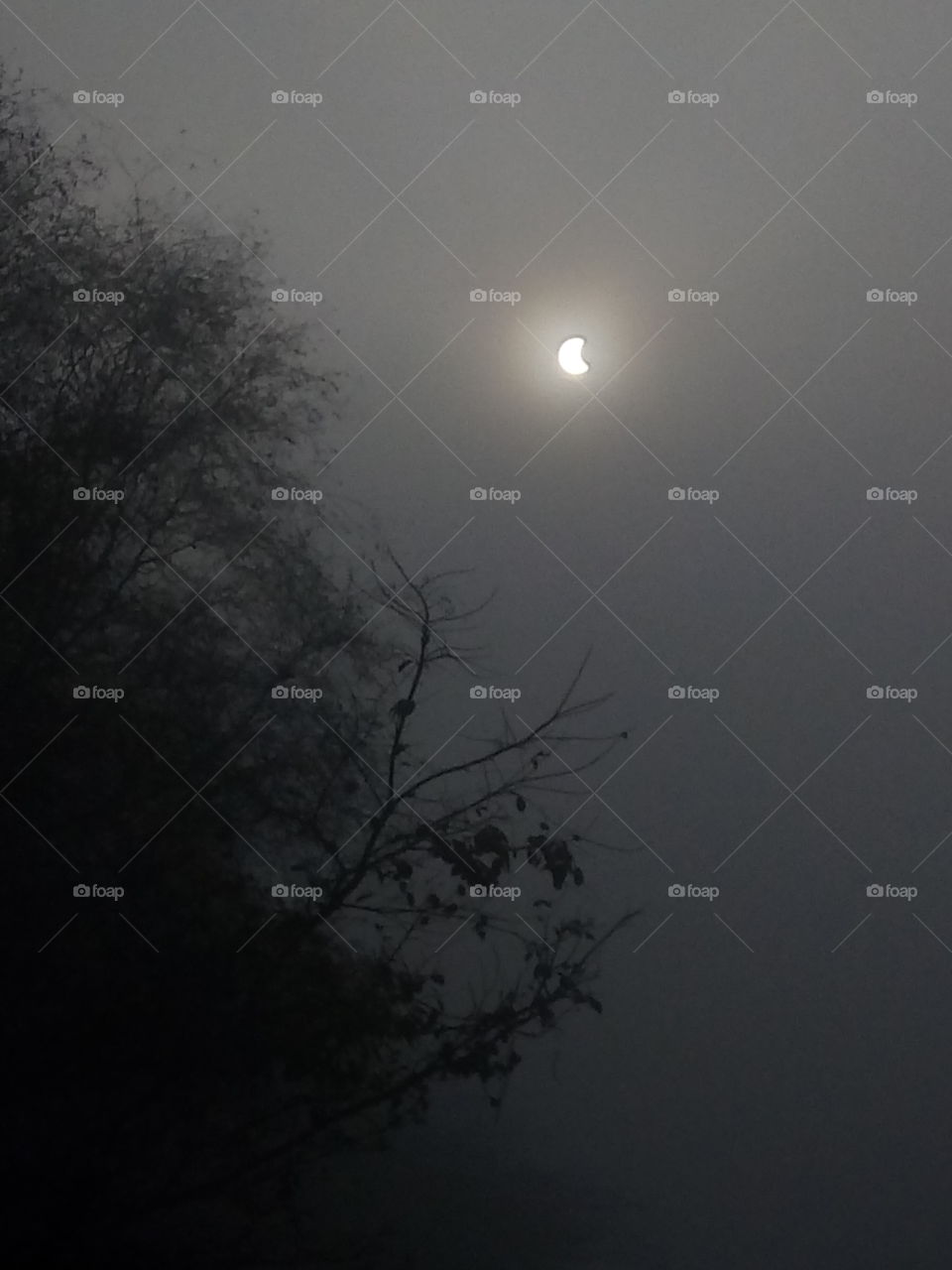 solar eclipse photo.