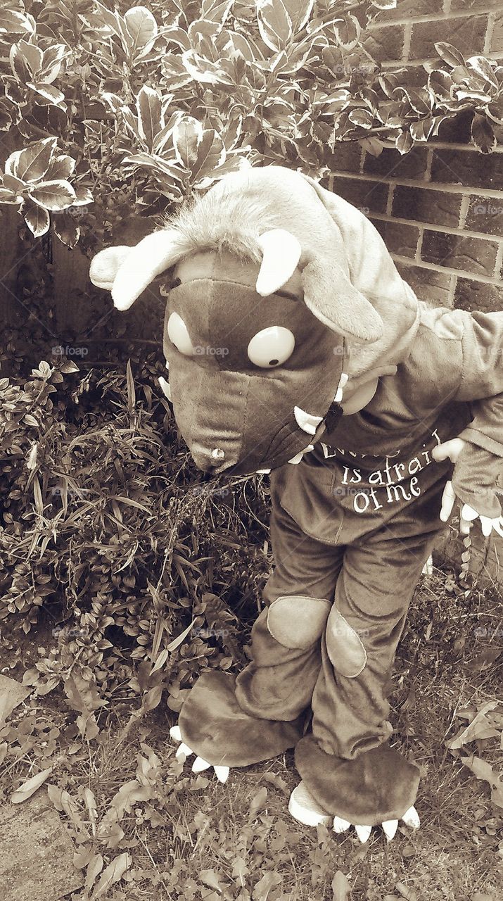 Who is a big bad  grr