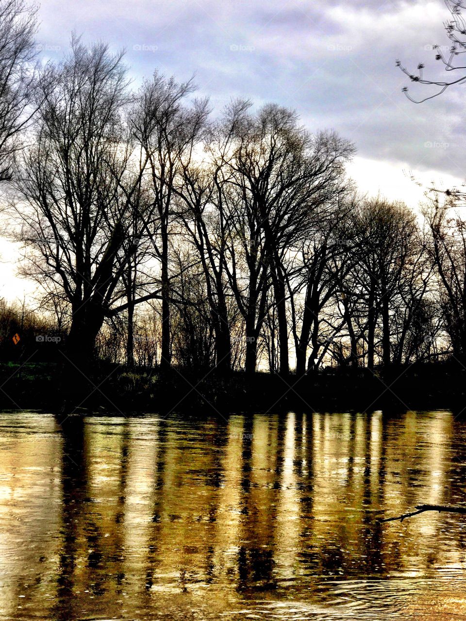 Beautiful view in Indiana 