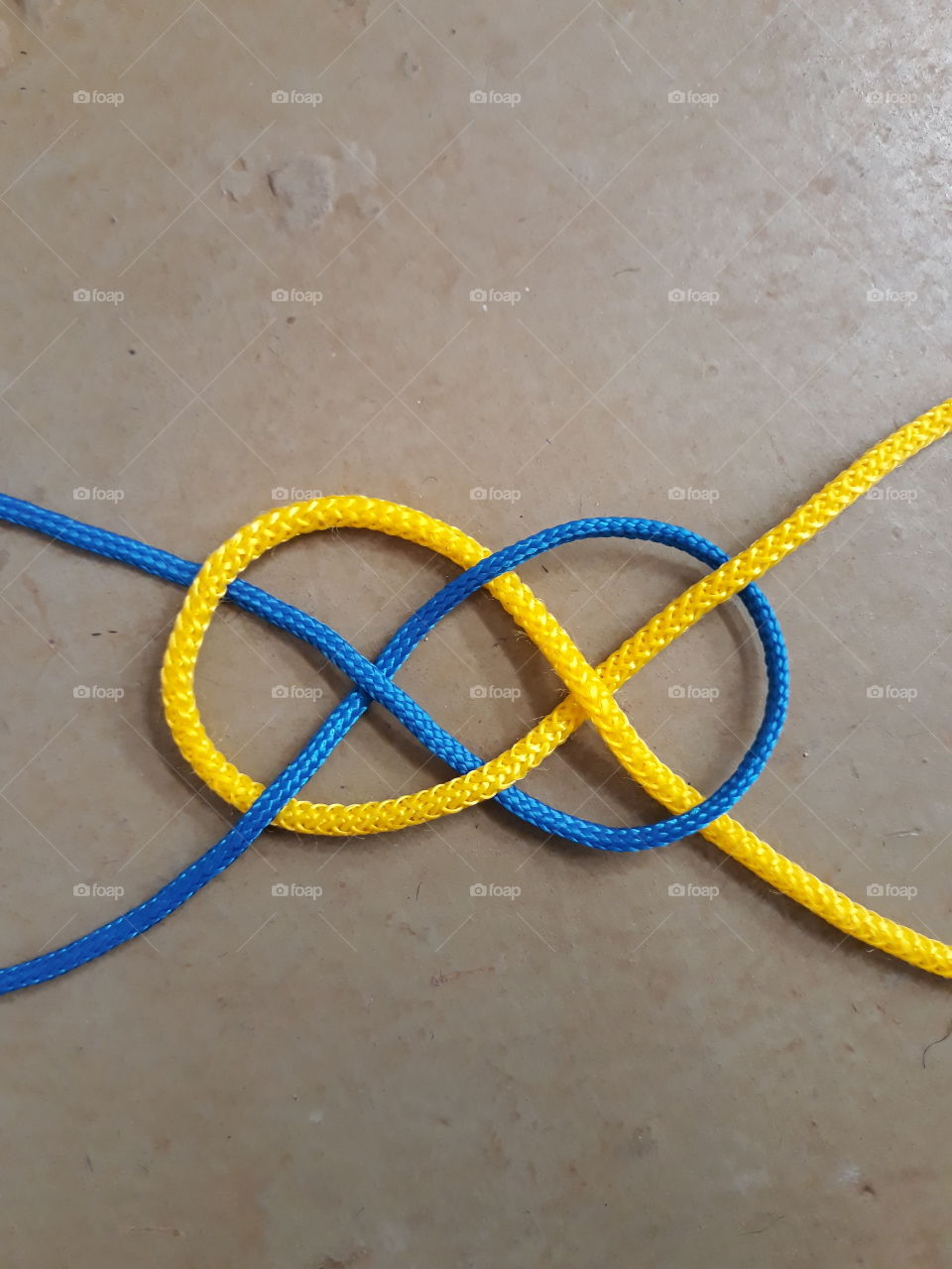 ordinary knot