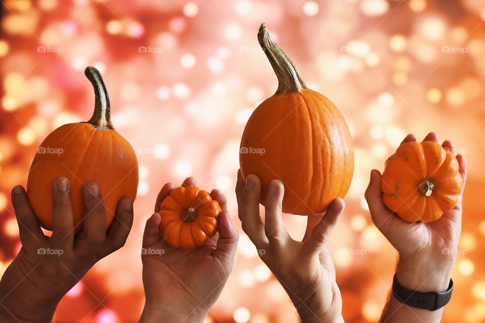 Pumpkins 