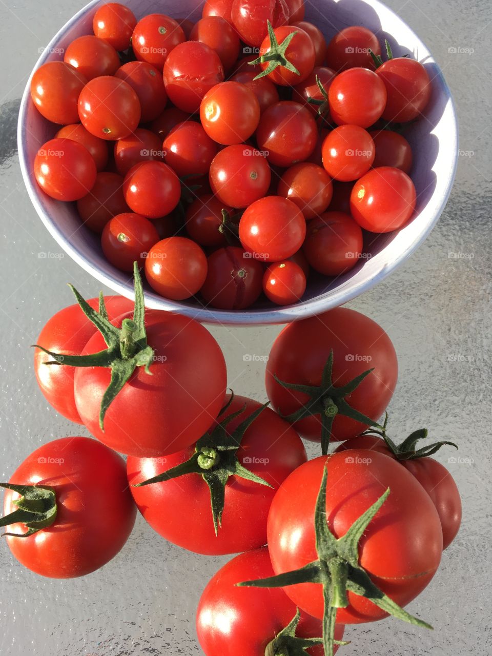 Homegrown garden tomatoes 