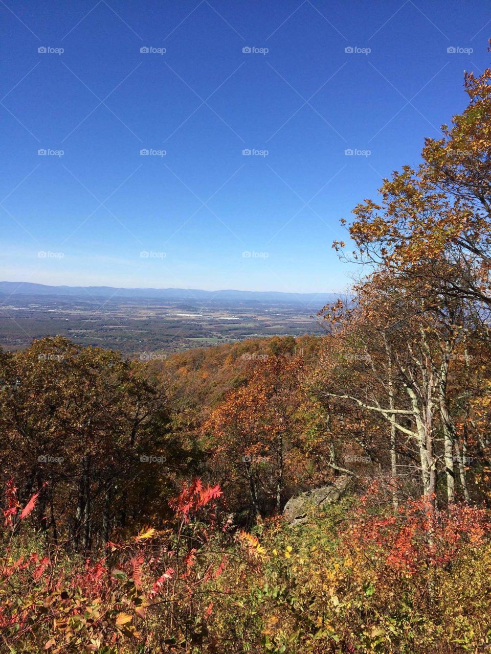 The Blue Ridge Mountains Afton, Virginia