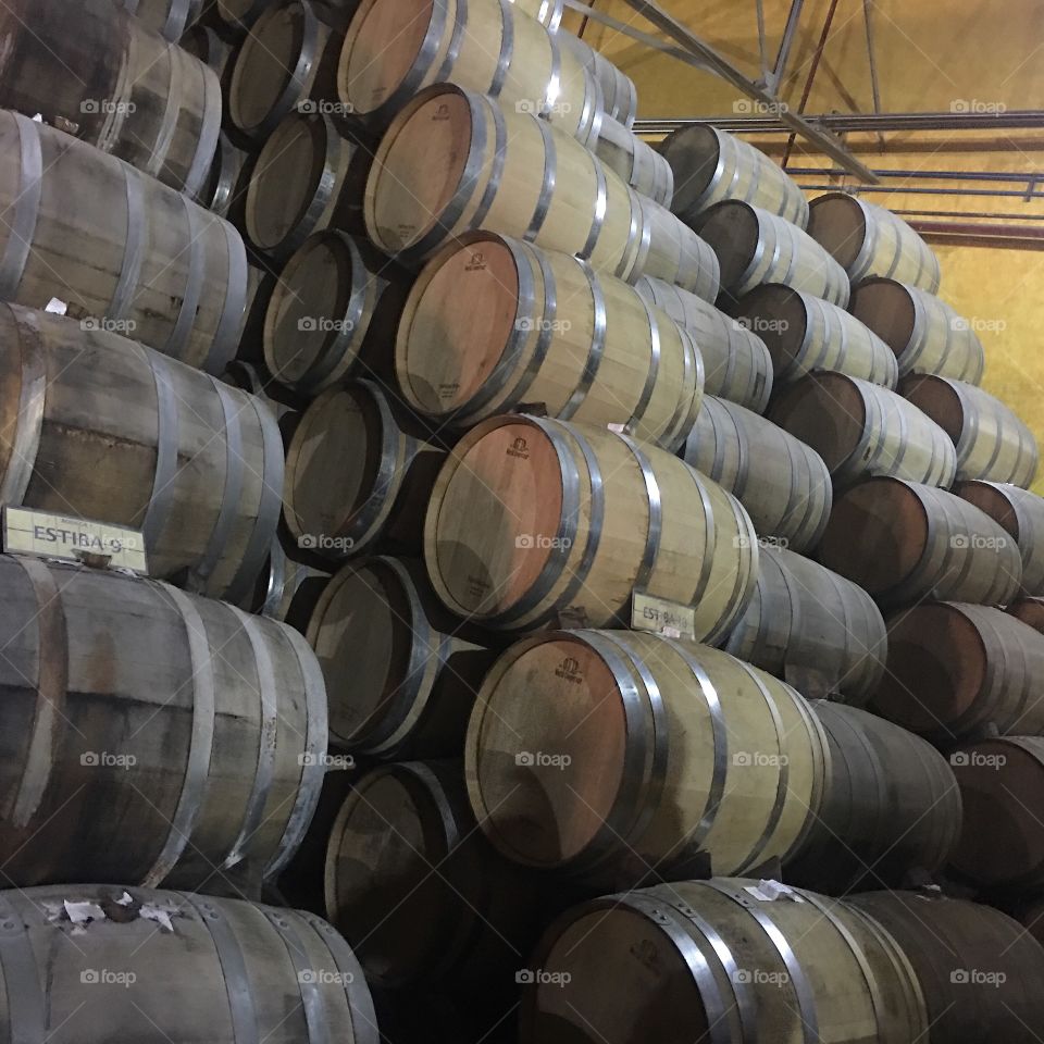 Barrel of tequila 