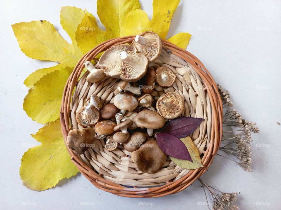 autumn composition basket with mushrooms, yellow leaves, dry herbs