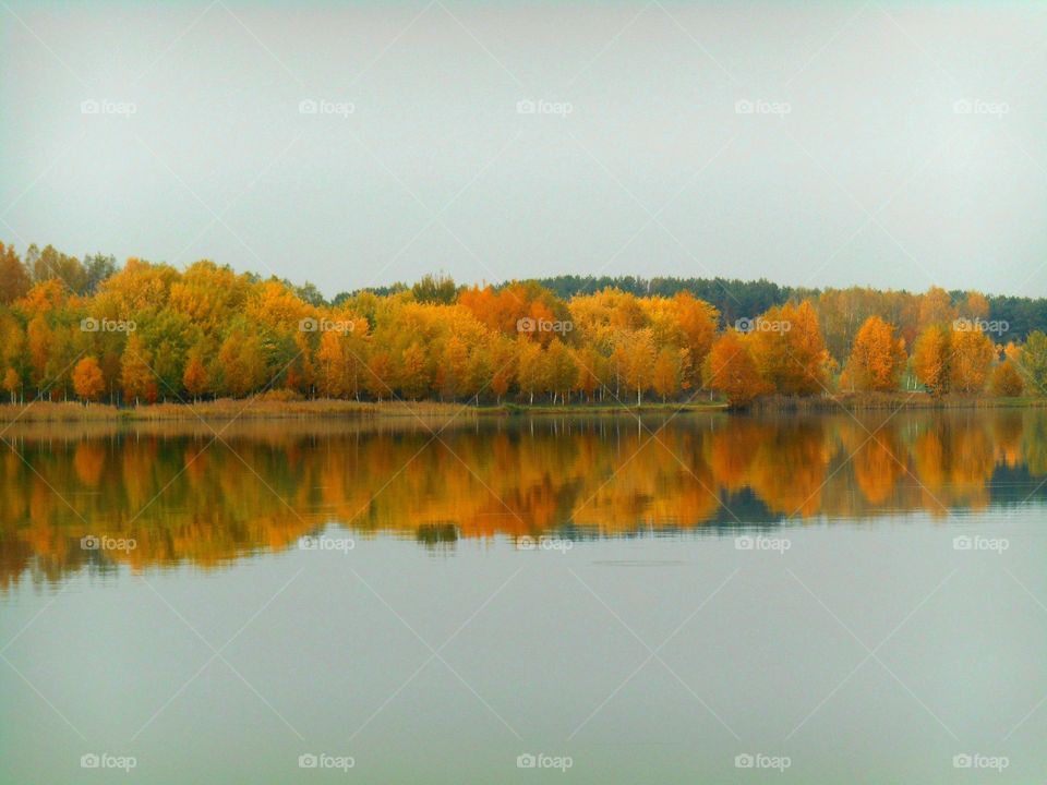 Reflection, Lake, Fall, No Person, Water