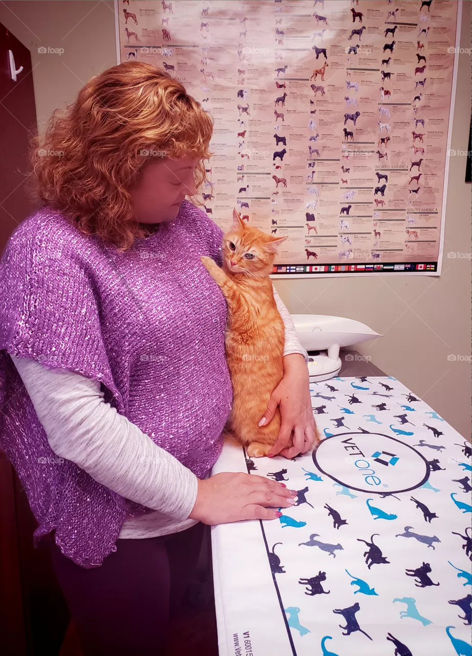 Vet’s Visit 