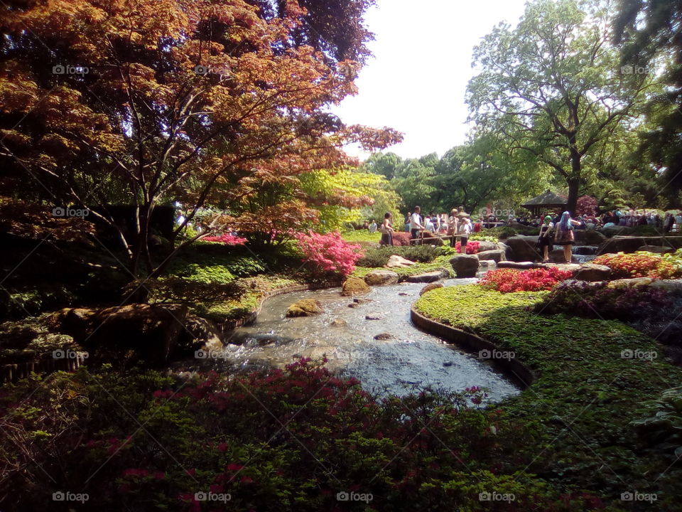 The botanical Garden in Augsburg, Germany