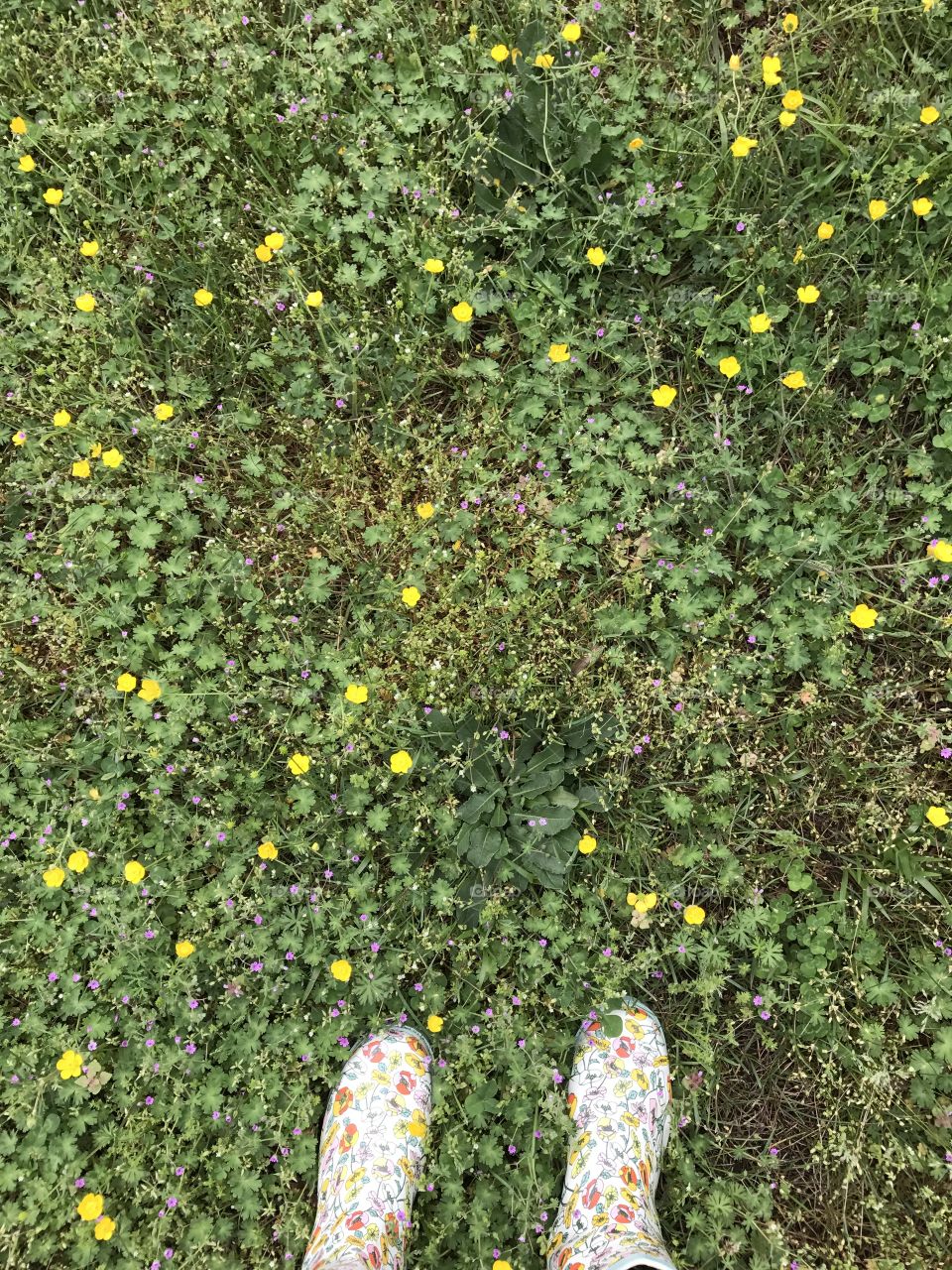 Feet in the field 