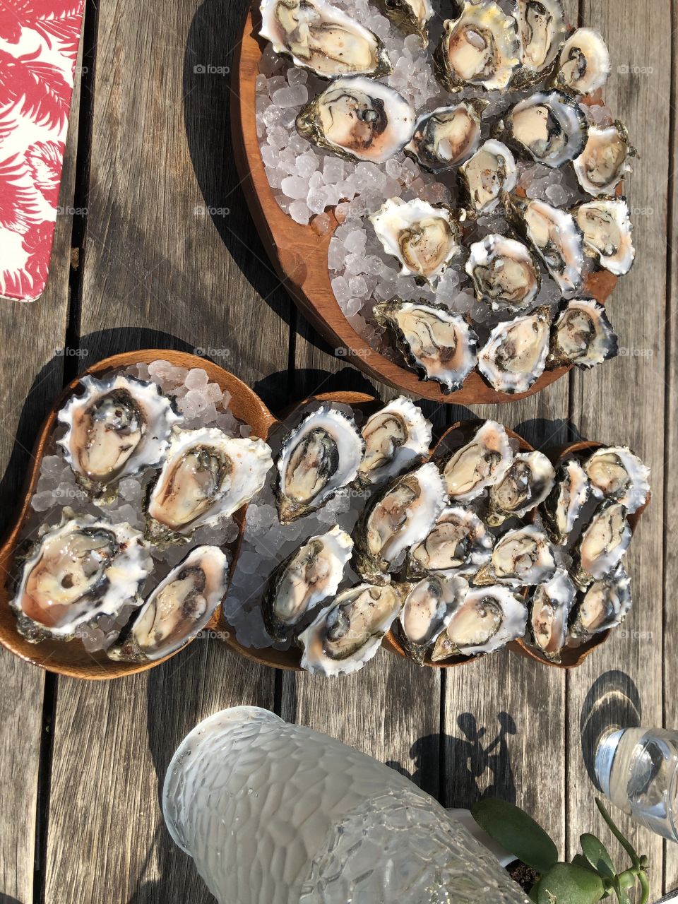 Oysters