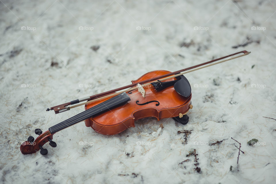 Violin on snow 