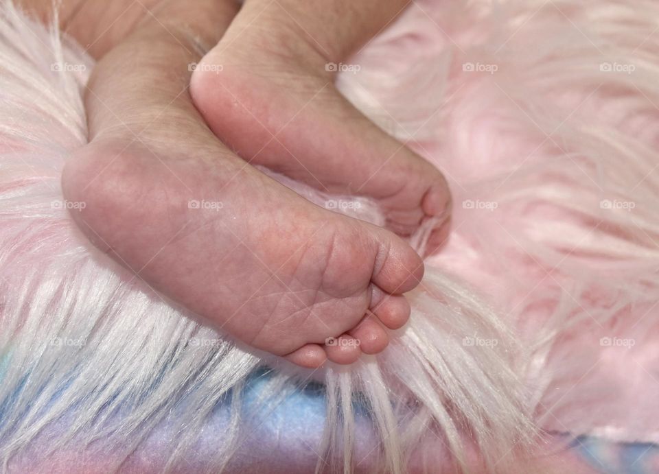 Baby feet on a pink fluffy blanket