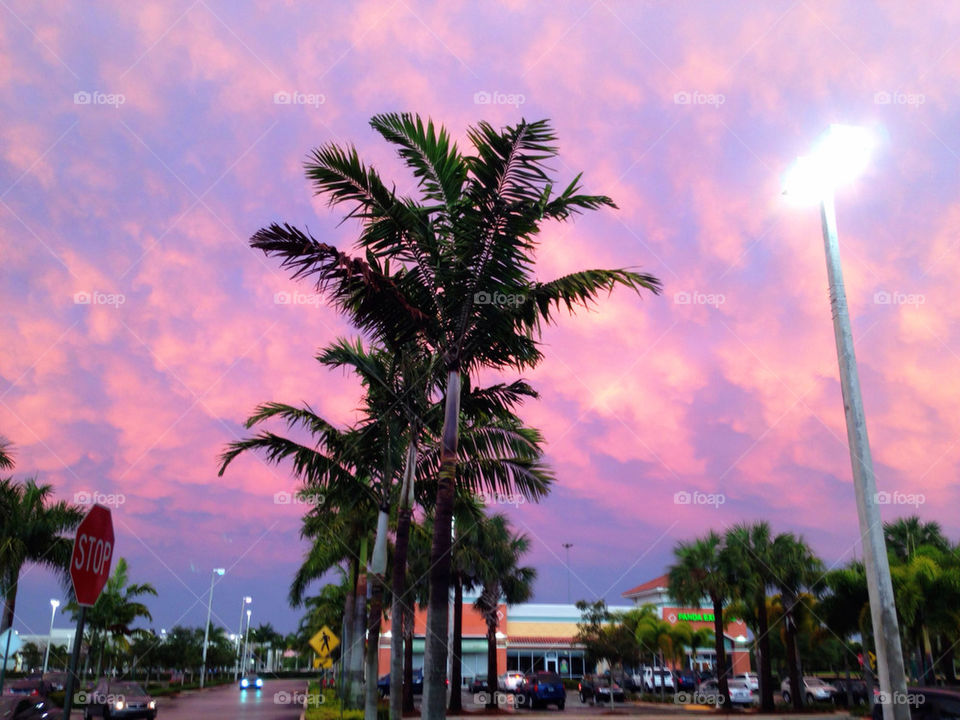 Shopping plaza with palm trees at sunset