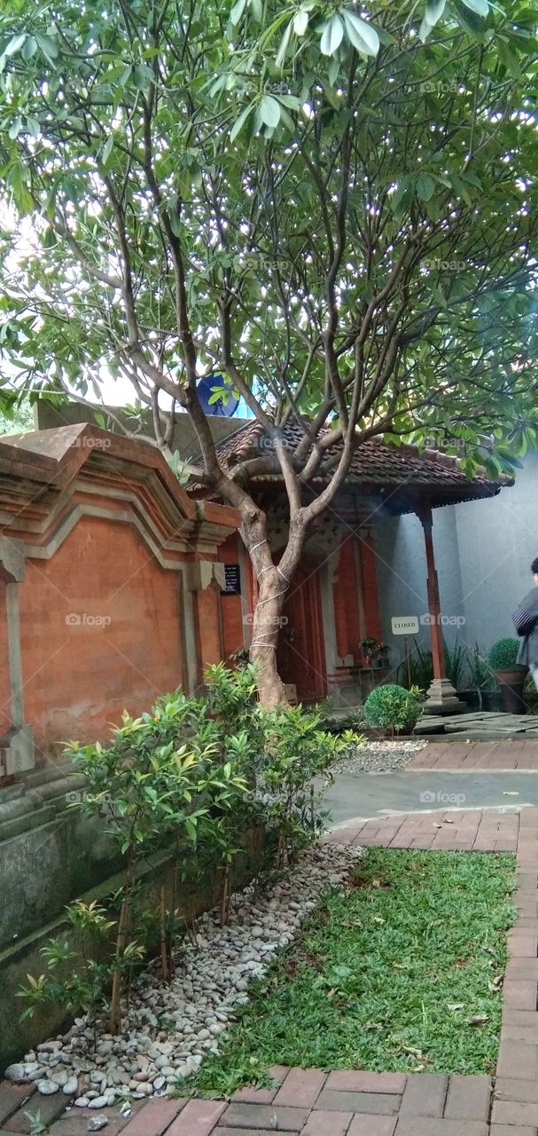 house with Balinese architecture