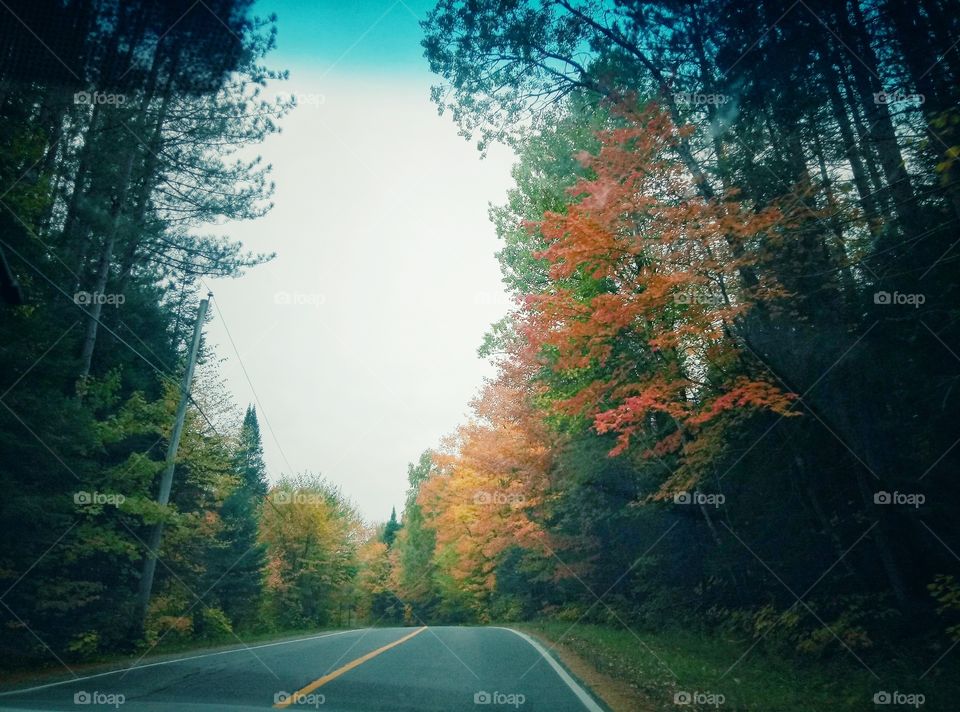 autumn road