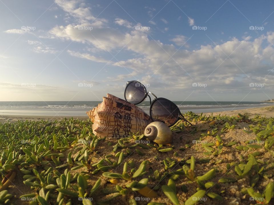 The noise of the sea translates what is being at the beach. A shell takes that noise with you and allows memories of good times anywhere!