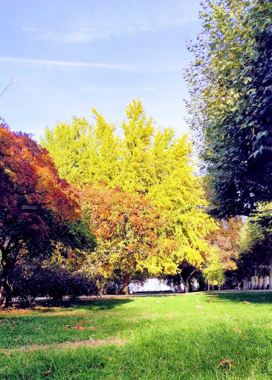 autumn time, Germany