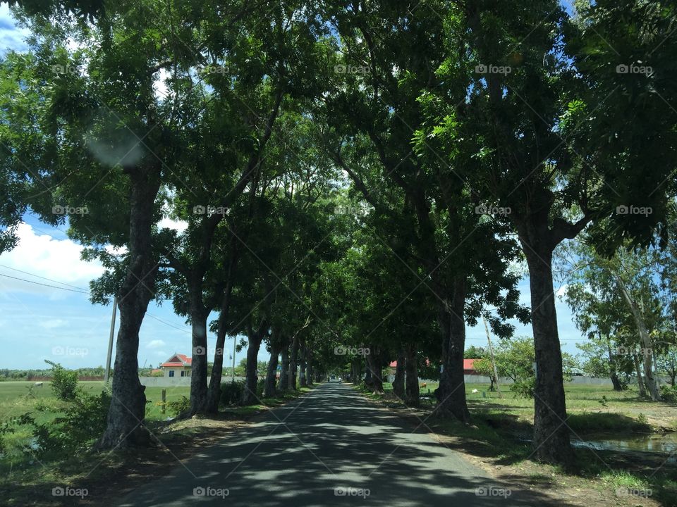 The Road to Old Capital of Khmer
Longvek Capital of Khmer 1400s