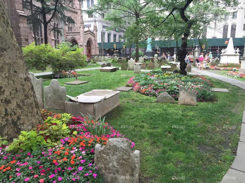 Garden, Flower, Cemetery, Yard, Grave