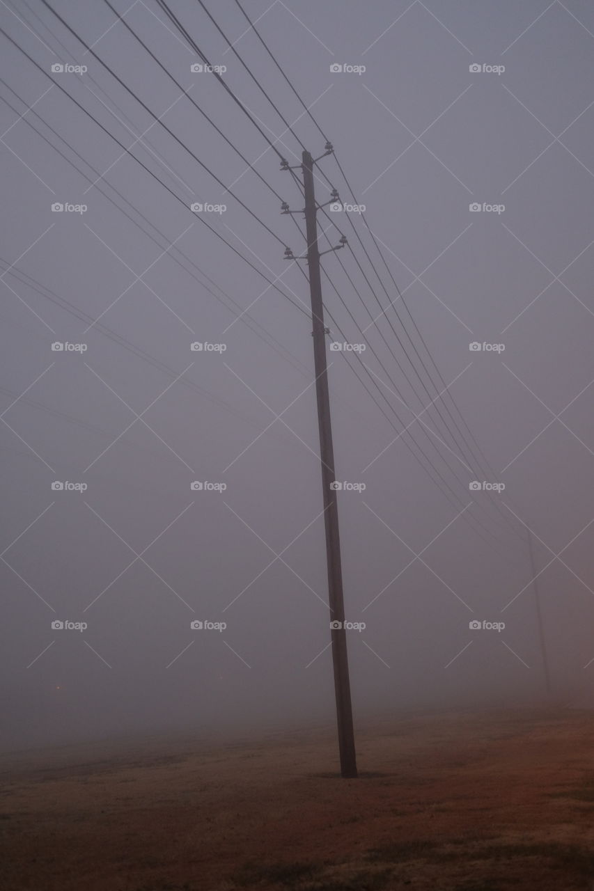 Into the fog
#1