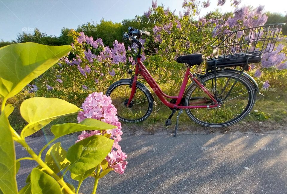 lonely bicycle in nature