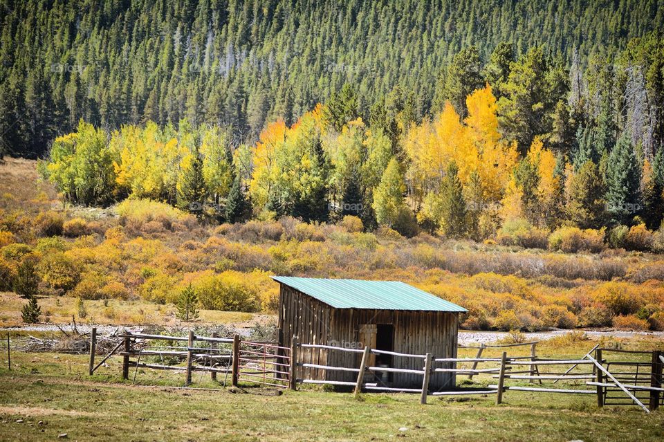 Horse barn in the fall