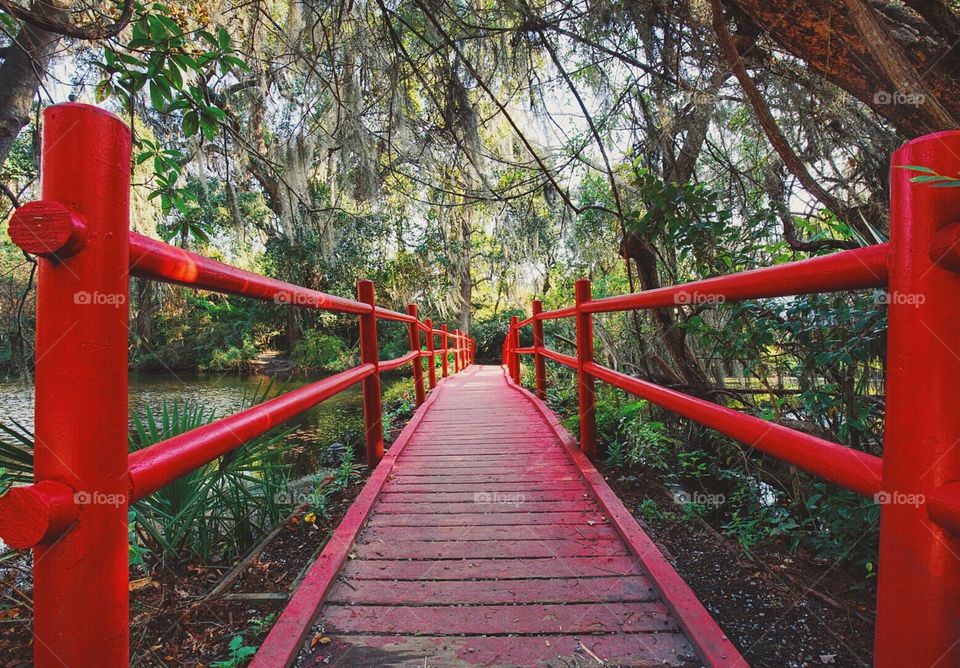 Plantation Bridge 